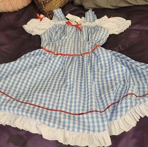 Dorothy costume